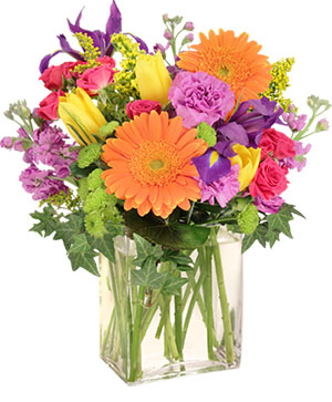 Celebrate Today! Bouquet in Farmington, ME | RIVERSIDE GREENHOUSE & FLORIST Celebrate Today! Bouquet in Farmington, ME | RIVERSIDE GREENHOUSE & FLORIST